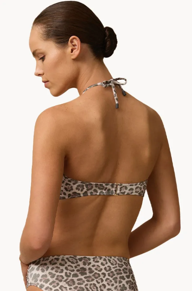 Bikini Tops|Monte u0026 Lou Belle DD/E Cup Coral Edge Bandeau Animal