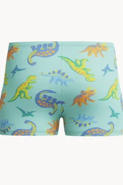 Trunks|Swimwear|Speedo Boys Allover Print Aquashort Teal