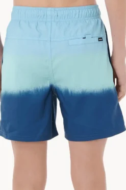 Boardshorts|Rip Curl Boys Dip Volley Boardshort Blue/Navy