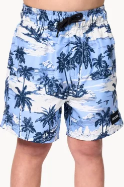 Boardshorts|Rip Curl Boys Dreamers Volley Boardshort Ice blue