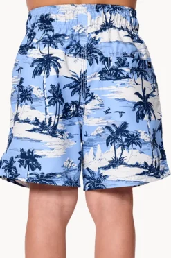 Boardshorts|Rip Curl Boys Dreamers Volley Boardshort Ice blue