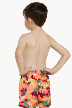 Boardshorts|Zoggs Boys Haku Watershort Multi