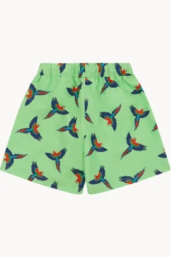 Boardshorts|Babes In The Shade Boys Macaw Boardshort Green