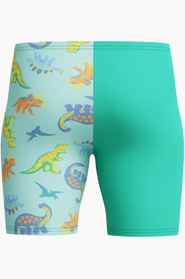 Jammers|Speedo Boys Print Jammer Teal