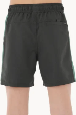 Boardshorts|Rip Curl Boys Tropic Daze Panel Volley Boardshort Washed Black