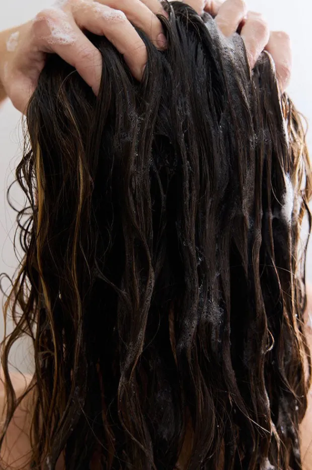 Travel|Home & Body|Al.ive Body Hydrate Hair & Body Trio