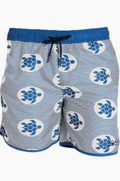 Boardshorts|Coast Mens Bare Sand Island Boardshort Blue