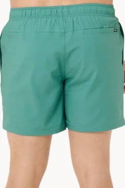 Boardshorts|Rip Curl Mens Daily Volley Boardshort Leaf