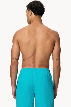 Boardshorts|Speedo Mens Essential 16" Watershort Turquoise
