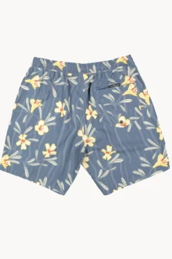 Boardshorts|Quiksilver Mens Everyday Straight Volley 17" Boardshort French blue