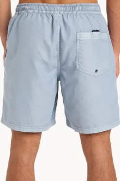 Boardshorts|Quiksilver Mens Everyday Surfwash Volley 17" Boardshort Blue