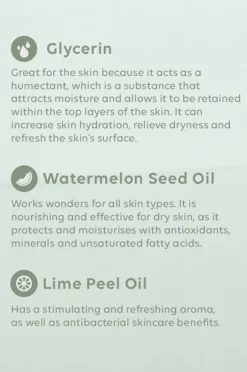 Travel|Home & Body|Al.ive Body Watermelon & Lime Sanitiser Spray